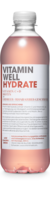 Vitamin Well Hydrate 12x0,50l